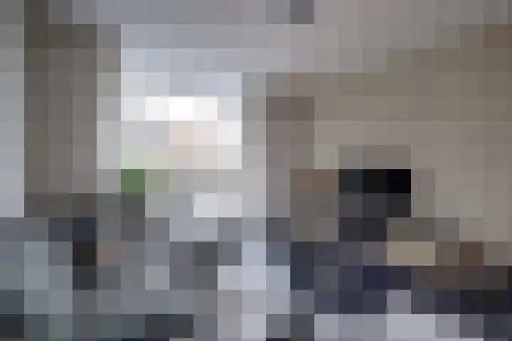 Karel Doormanlaan 12 Harderwijk thumbnail 11