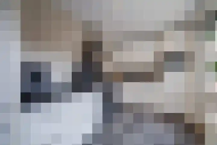 Karel Doormanlaan 12 Harderwijk thumbnail 17