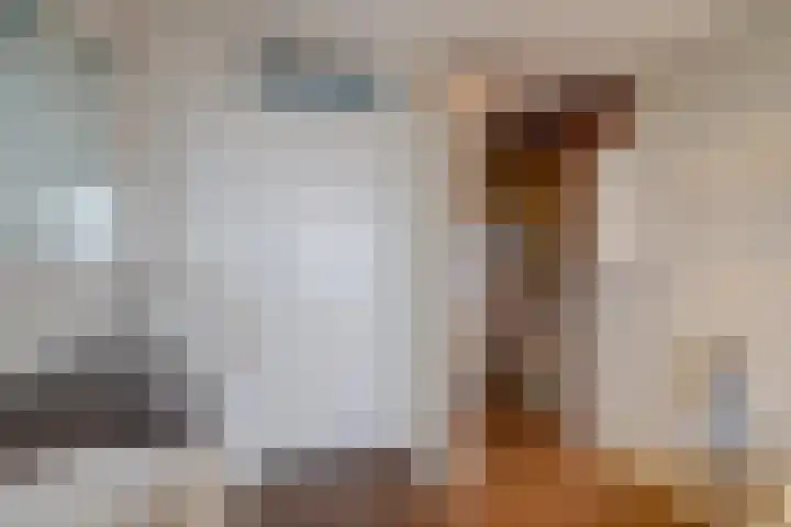 Karel Doormanlaan 12 Harderwijk thumbnail 31