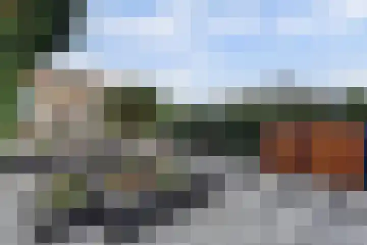 Karel Doormanlaan 12 Harderwijk thumbnail 49
