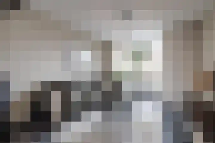 Karel Doormanlaan 12 Harderwijk thumbnail 8