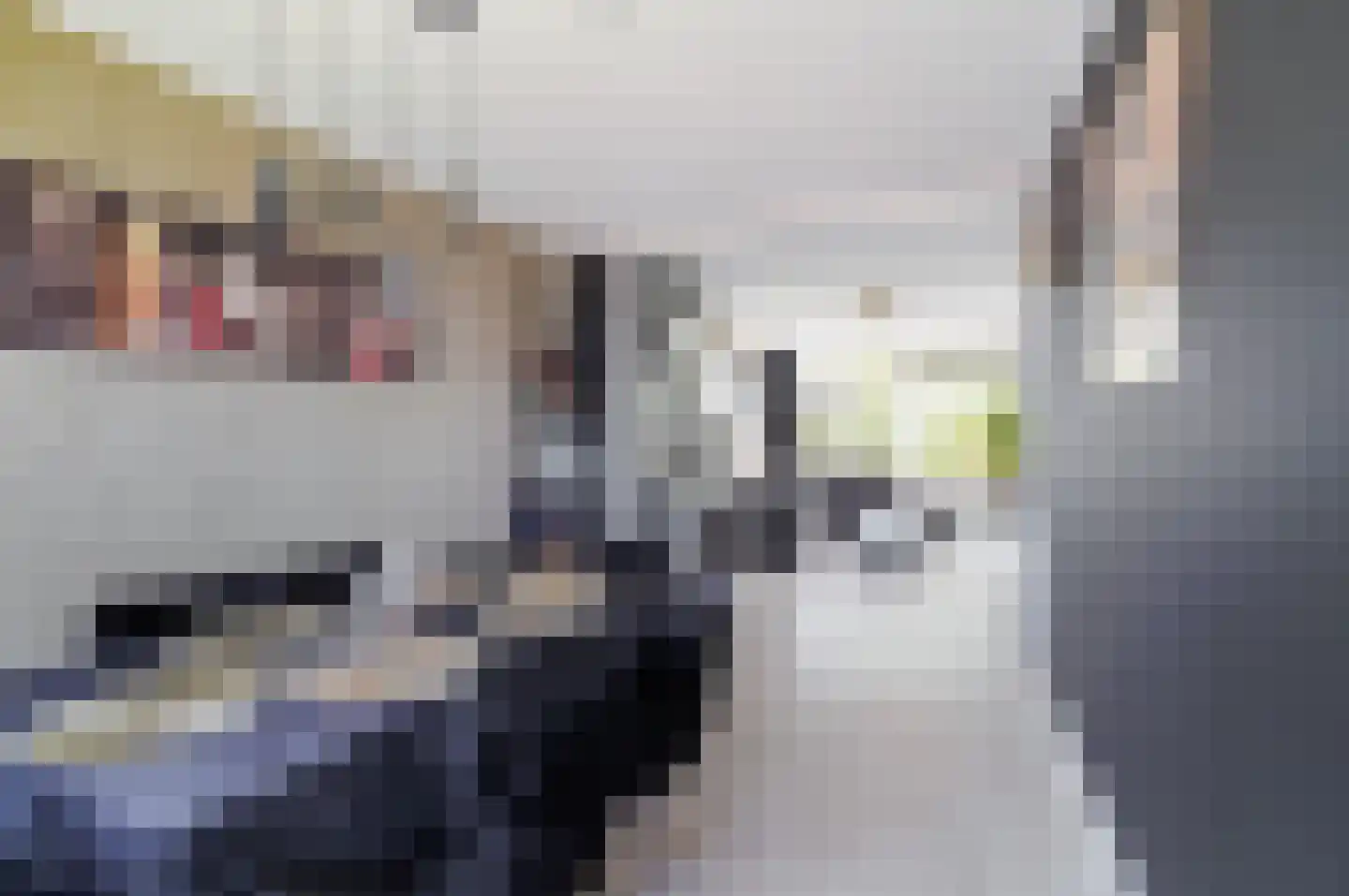 Karel Doormanlaan 123 Zoetermeer thumbnail 15