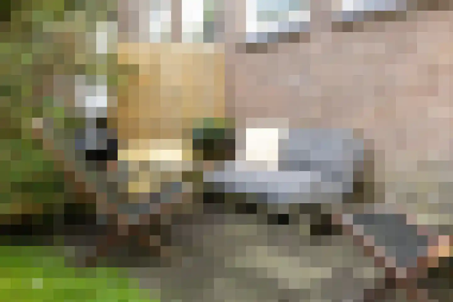 Karel Doormanlaan 124 Haarlem thumbnail 33