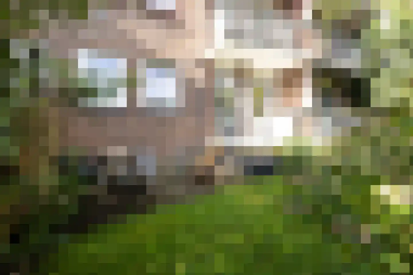 Karel Doormanlaan 124 Haarlem thumbnail 34