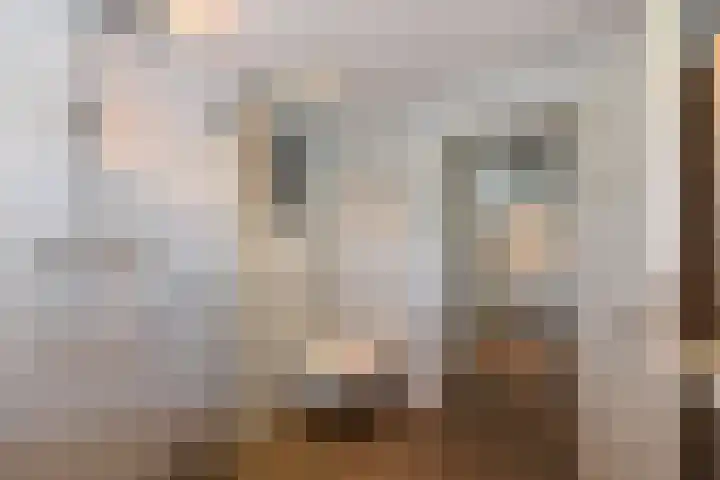 Karel Doormanlaan 13 Huizen thumbnail 12