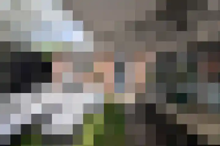 Karel Doormanlaan 13 Huizen thumbnail 16
