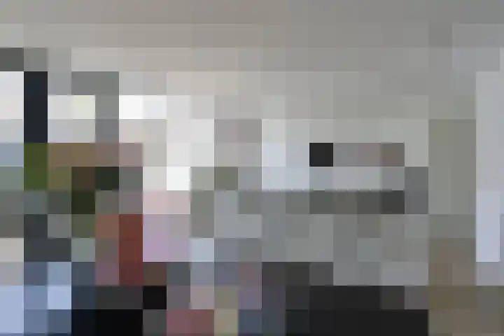 Karel Doormanlaan 13 Huizen thumbnail 9
