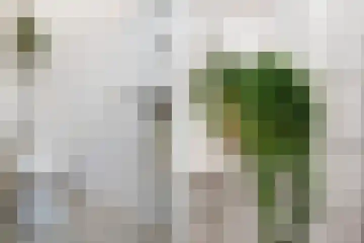 Karel Doormanlaan 132 Haarlem thumbnail 22
