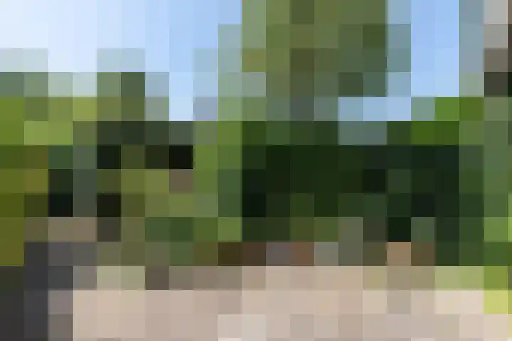 Karel Doormanlaan 138 Papendrecht thumbnail 4