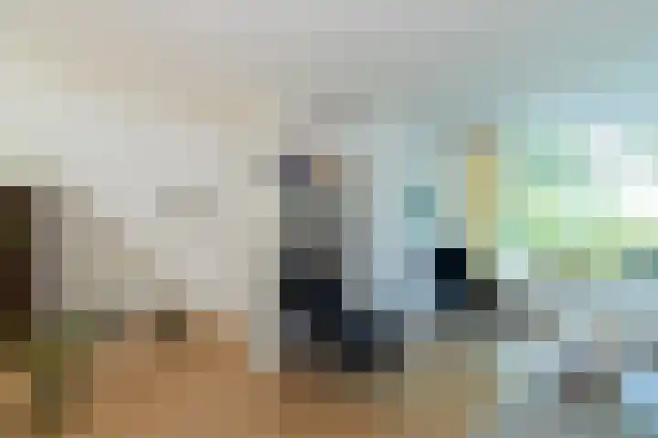 Karel Doormanlaan 138 Papendrecht thumbnail 6