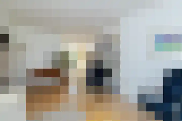 Karel Doormanlaan 138 Papendrecht thumbnail 8