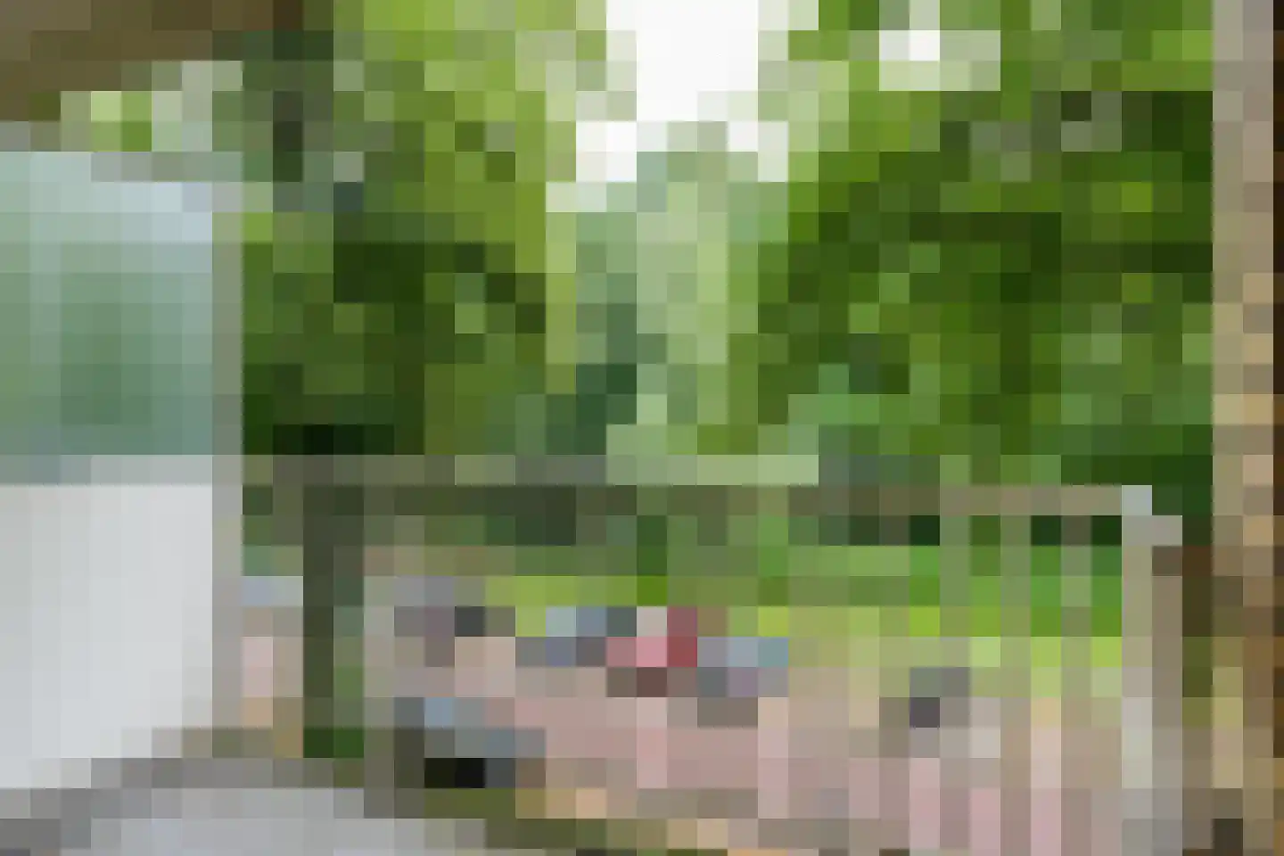 Karel Doormanlaan 138 Utrecht thumbnail 13