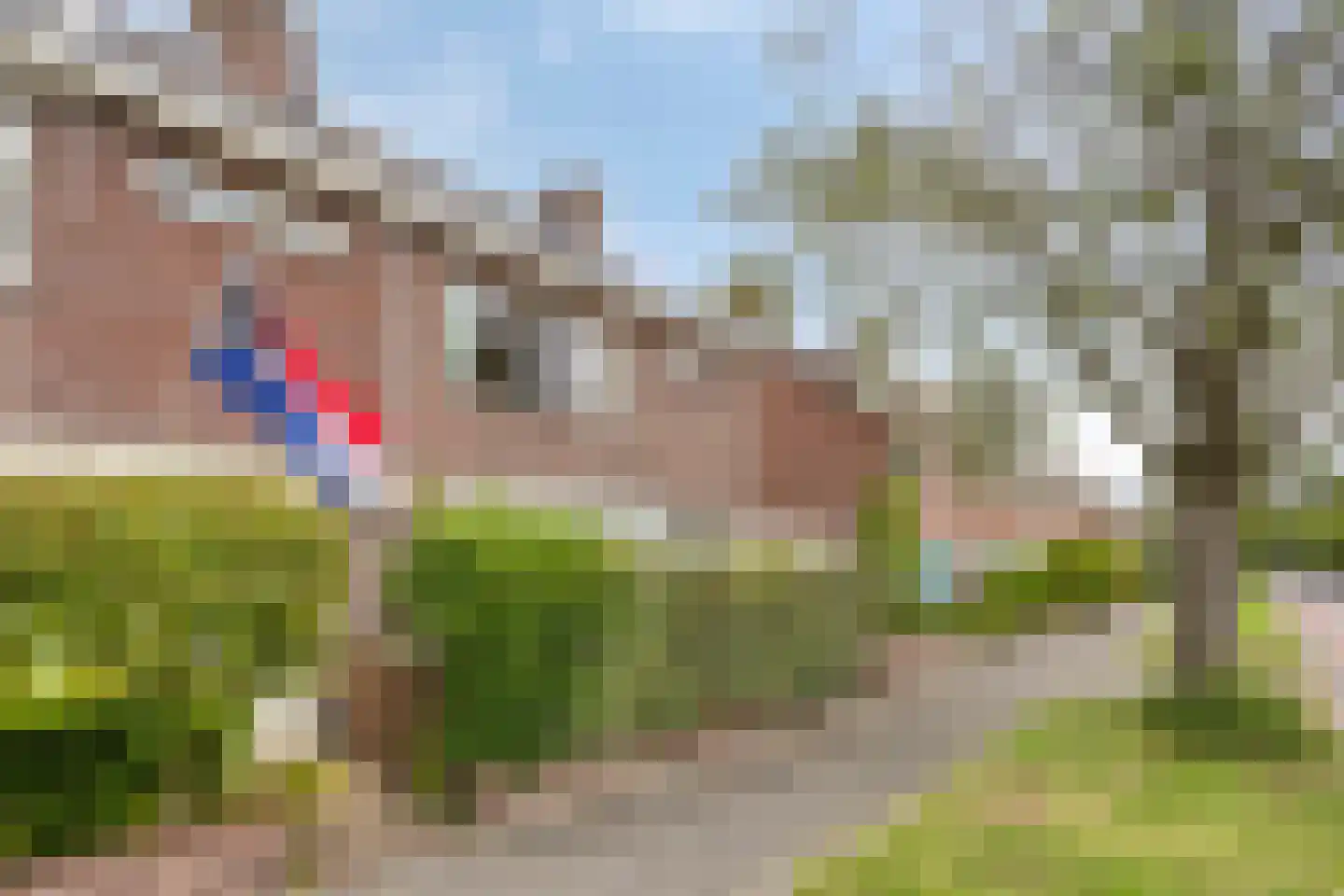 Karel Doormanlaan 14 Voorschoten foto 3