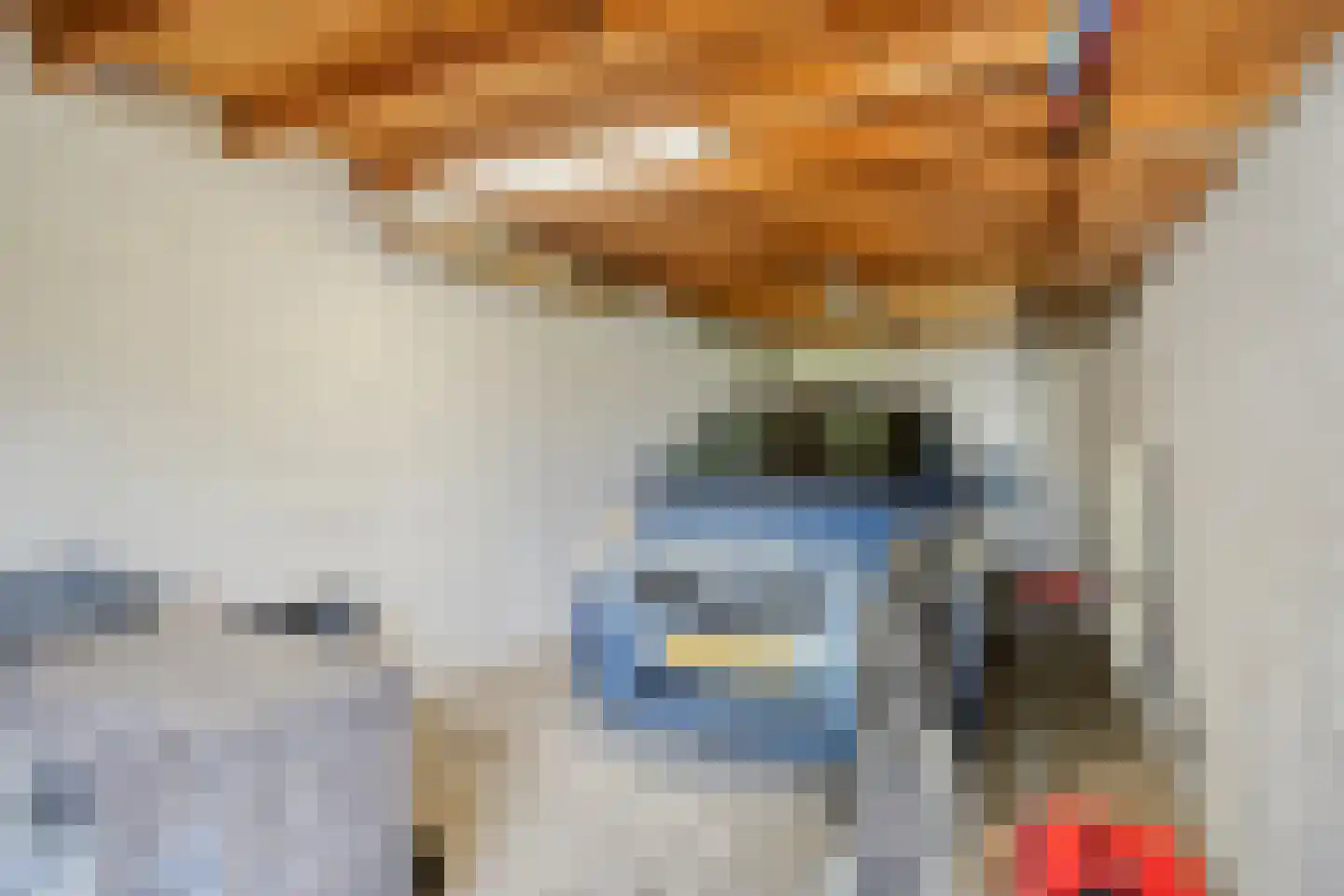 Karel Doormanlaan 14 Voorschoten thumbnail 42