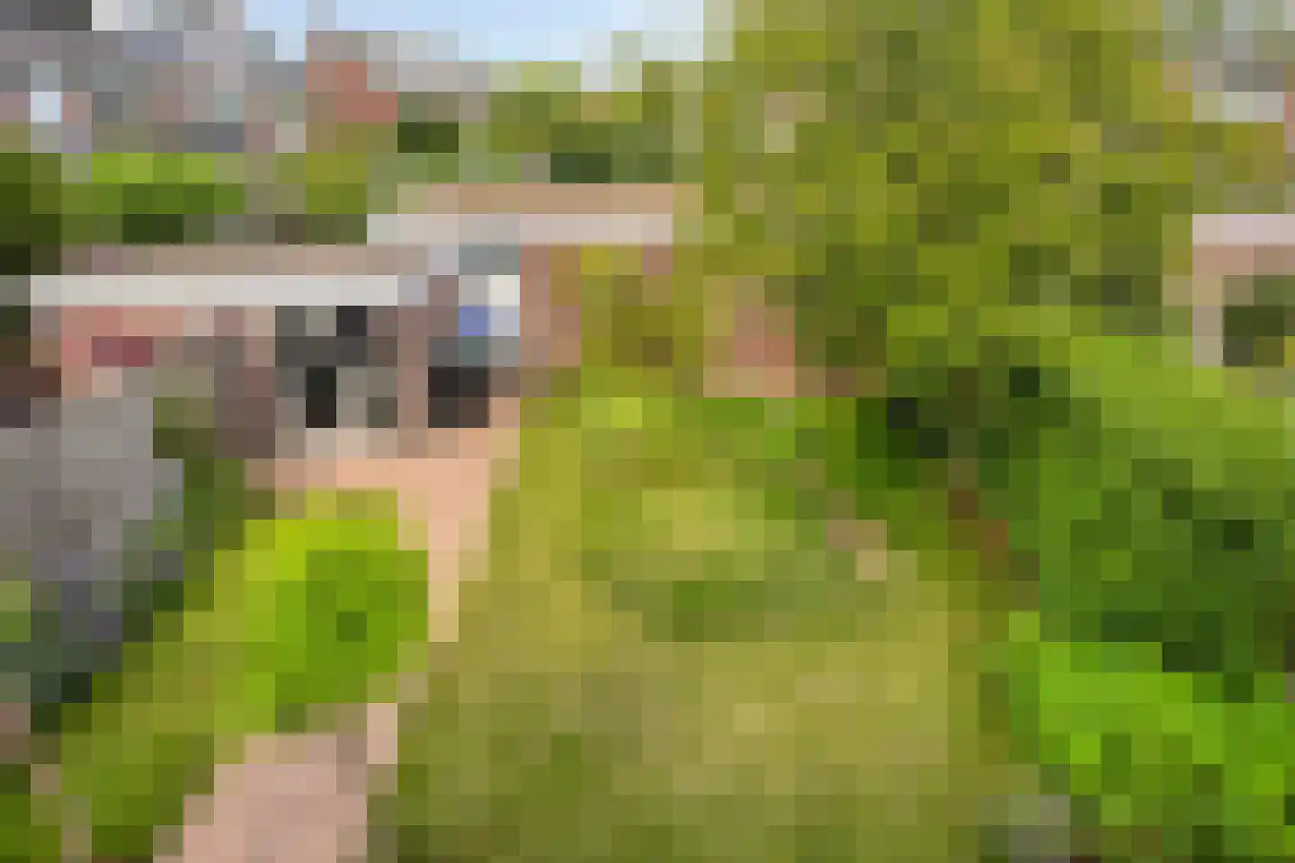 Karel Doormanlaan 14 Voorschoten thumbnail 43