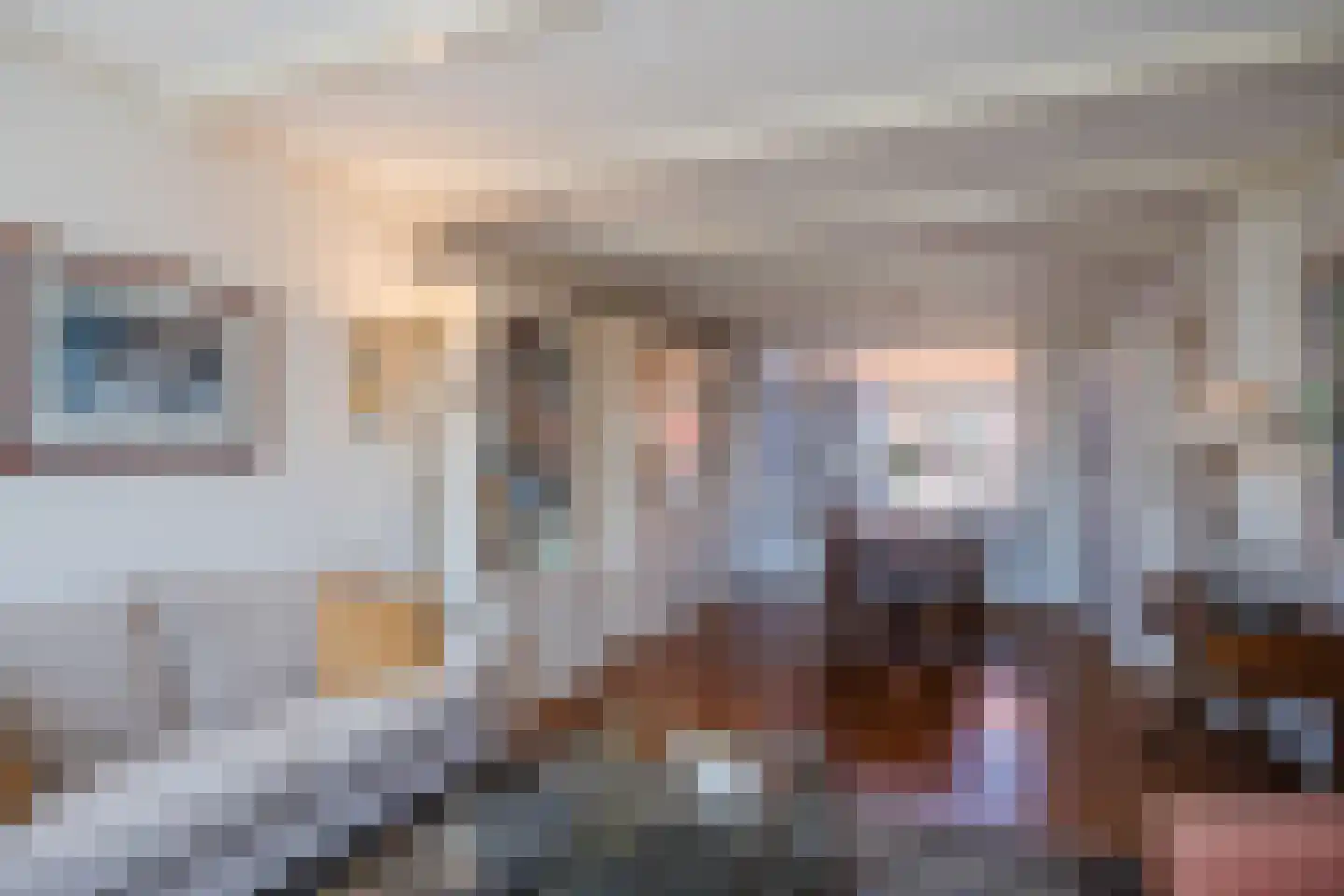 Karel Doormanlaan 15 Egmond aan Zee thumbnail 14