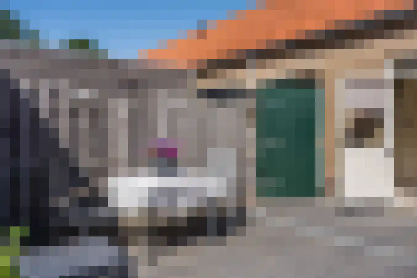 Karel Doormanlaan 15 Egmond aan Zee thumbnail 40
