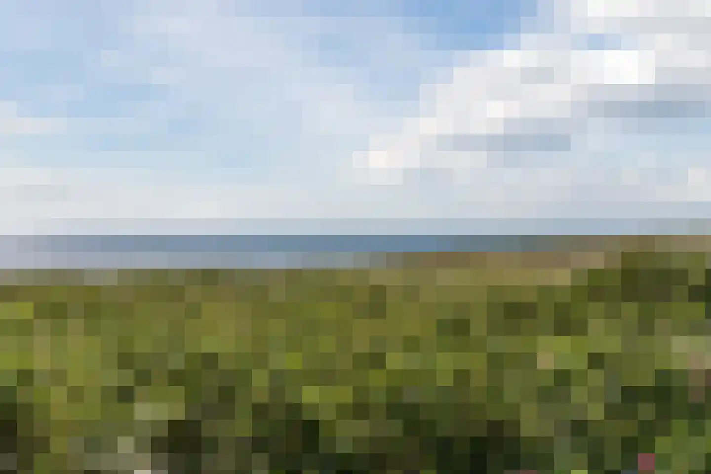 Karel Doormanlaan 15 Egmond aan Zee thumbnail 59