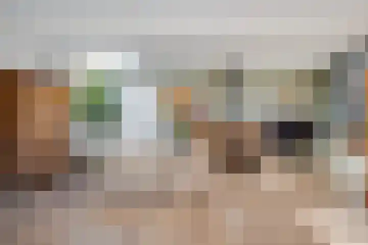 Karel Doormanlaan 15 Voorschoten thumbnail 11