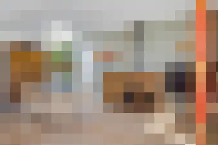 Karel Doormanlaan 15 Voorschoten thumbnail 12