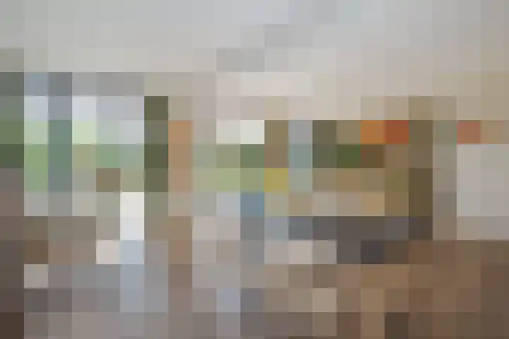 Karel Doormanlaan 15 Voorschoten thumbnail 13