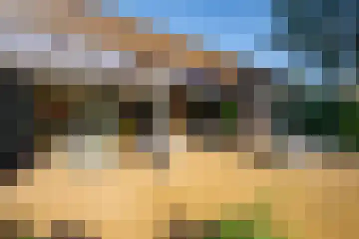 Karel Doormanlaan 15 Voorschoten thumbnail 17