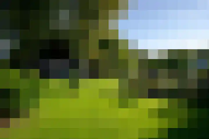 Karel Doormanlaan 15 Voorschoten thumbnail 20
