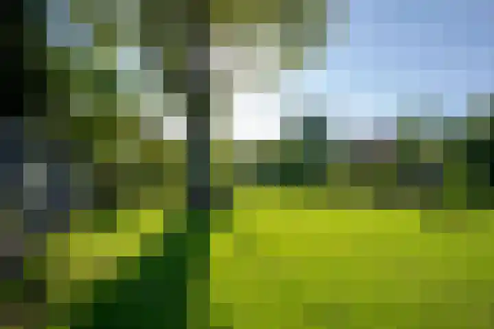 Karel Doormanlaan 15 Voorschoten thumbnail 22