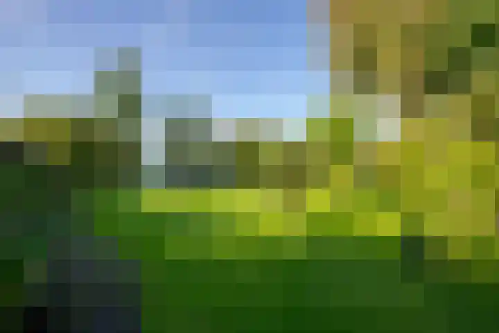 Karel Doormanlaan 15 Voorschoten thumbnail 26
