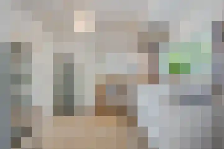 Karel Doormanlaan 15 Voorschoten thumbnail 33