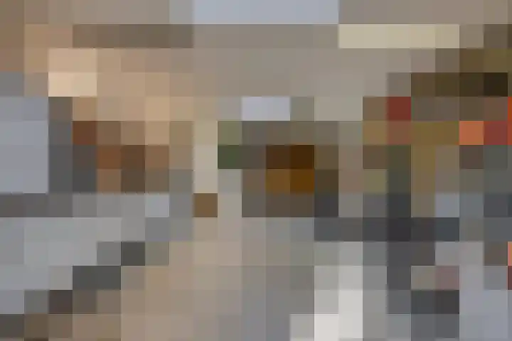 Karel Doormanlaan 15 Voorschoten thumbnail 35