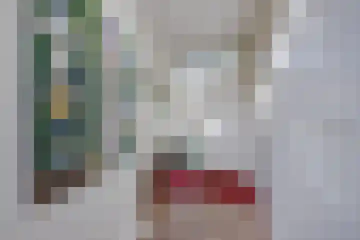Karel Doormanlaan 15 Voorschoten thumbnail 5