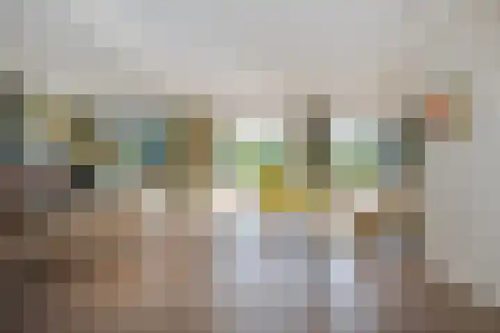 Karel Doormanlaan 15 Voorschoten thumbnail 9