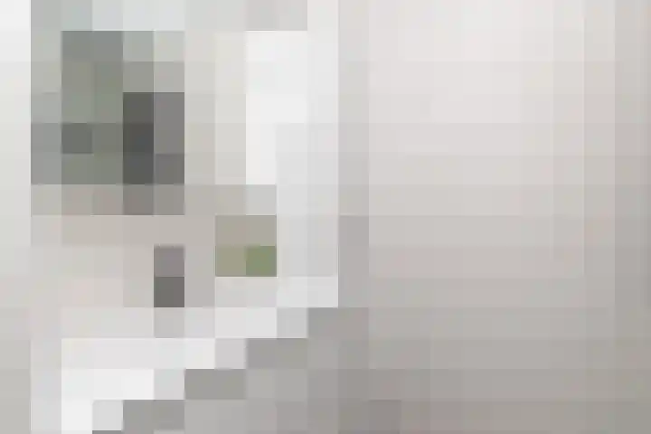 Karel Doormanlaan 151 Zoetermeer thumbnail 18