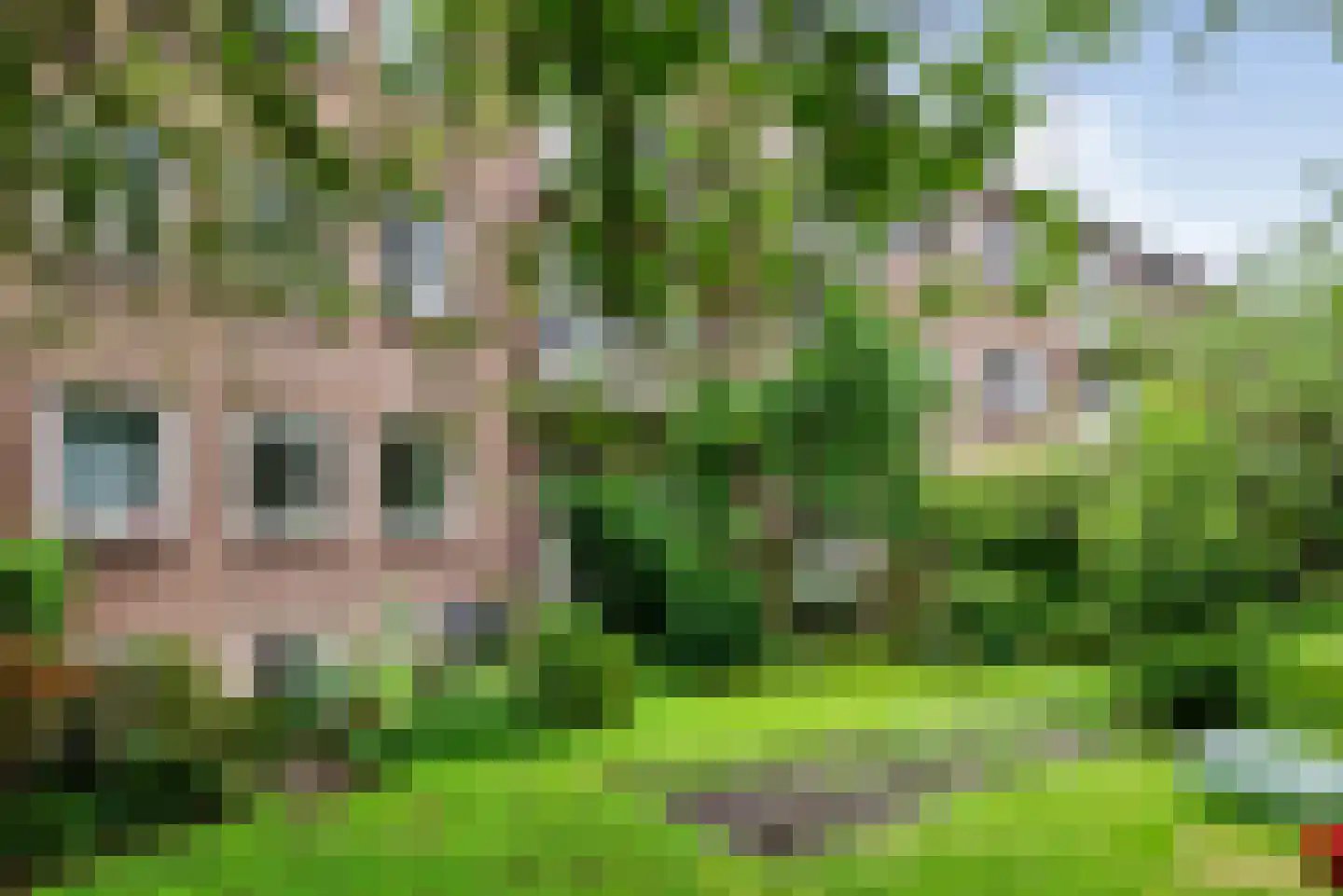 Karel Doormanlaan 16 Haarlem thumbnail 23