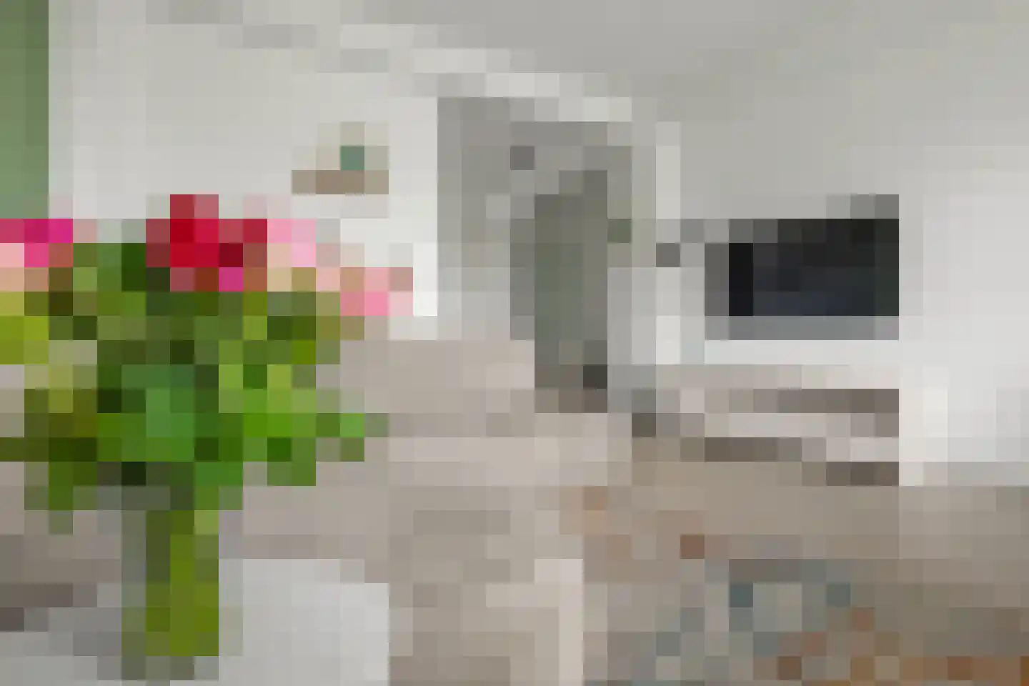 Karel Doormanlaan 161 Utrecht thumbnail 12