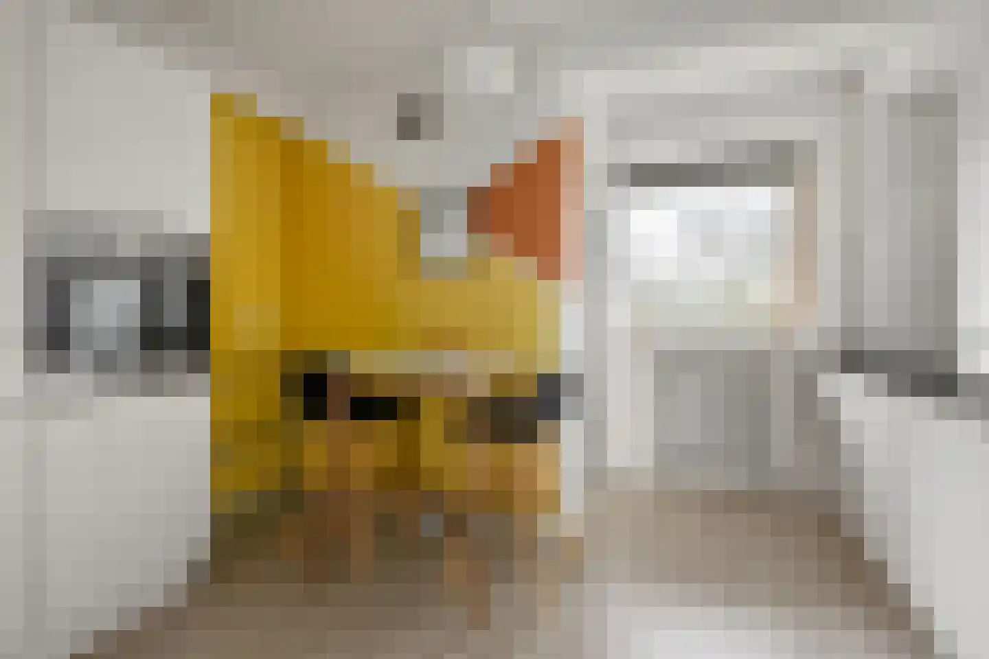Karel Doormanlaan 161 Utrecht thumbnail 14