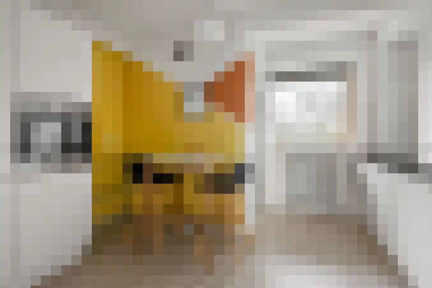 Karel Doormanlaan 161 Utrecht thumbnail 14