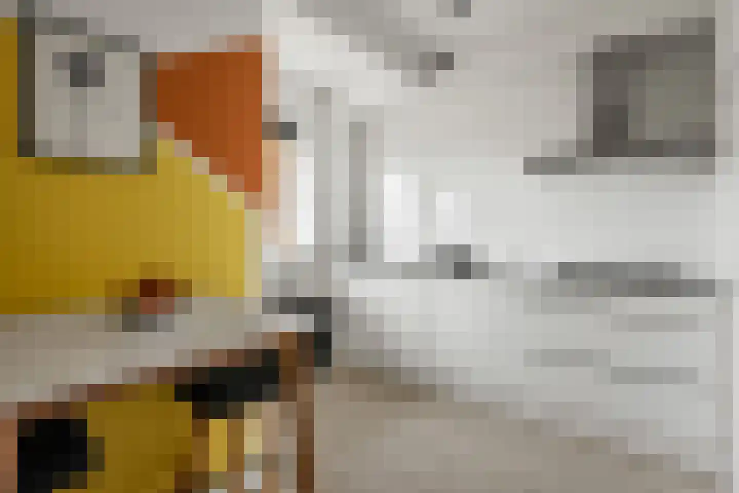 Karel Doormanlaan 161 Utrecht thumbnail 16