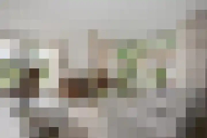 Karel Doormanlaan 17 Voorschoten thumbnail 12