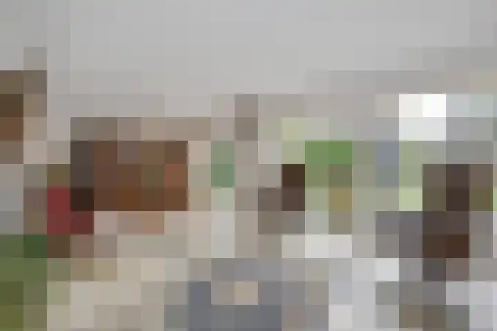 Karel Doormanlaan 17 Voorschoten thumbnail 16