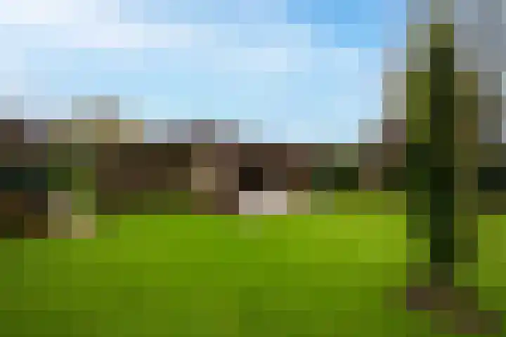 Karel Doormanlaan 17 Voorschoten thumbnail 21