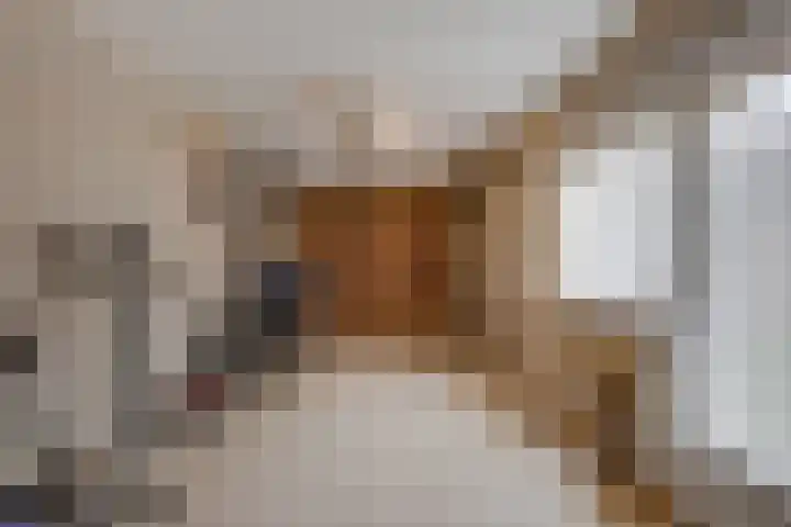 Karel Doormanlaan 17 Voorschoten thumbnail 28