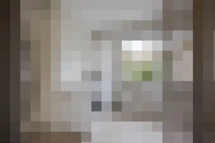 Karel Doormanlaan 17 Voorschoten thumbnail 36