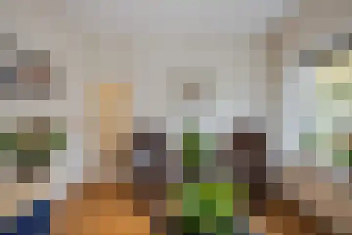 Karel Doormanlaan 17 Voorschoten thumbnail 39