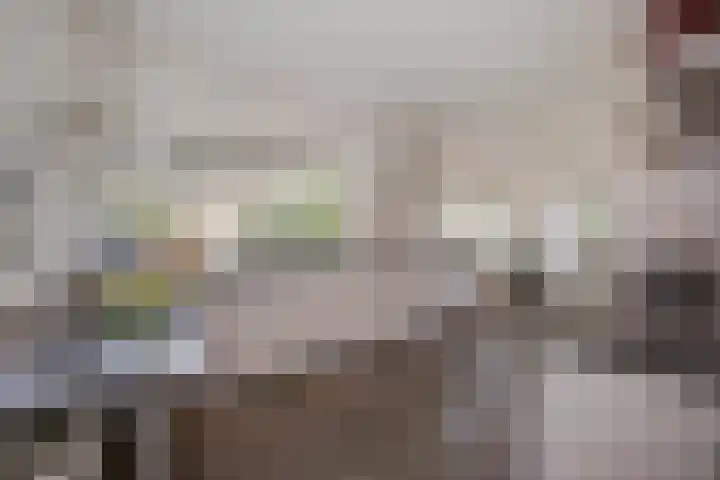 Karel Doormanlaan 17 Voorschoten thumbnail 41