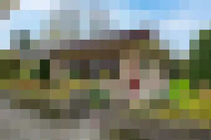 Karel Doormanlaan 17 Voorschoten thumbnail 47