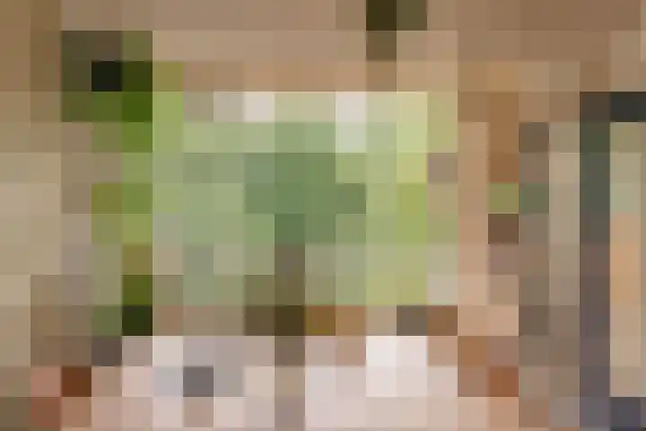 Karel Doormanlaan 176 Utrecht thumbnail 17