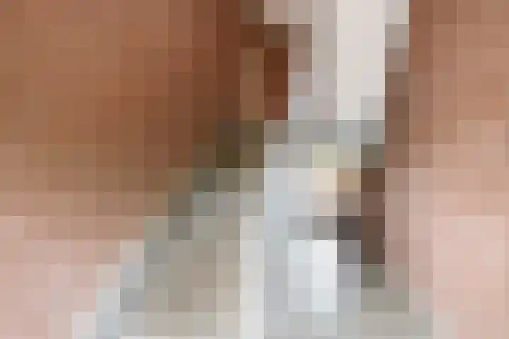 Karel Doormanlaan 189 Zoetermeer thumbnail 7