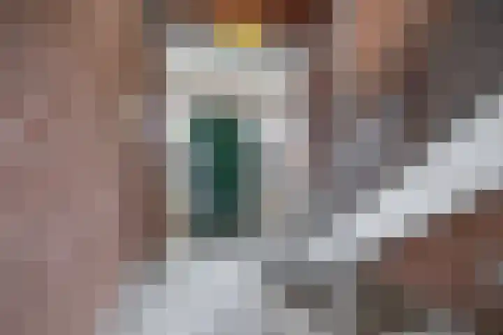 Karel Doormanlaan 189 Zoetermeer thumbnail 8